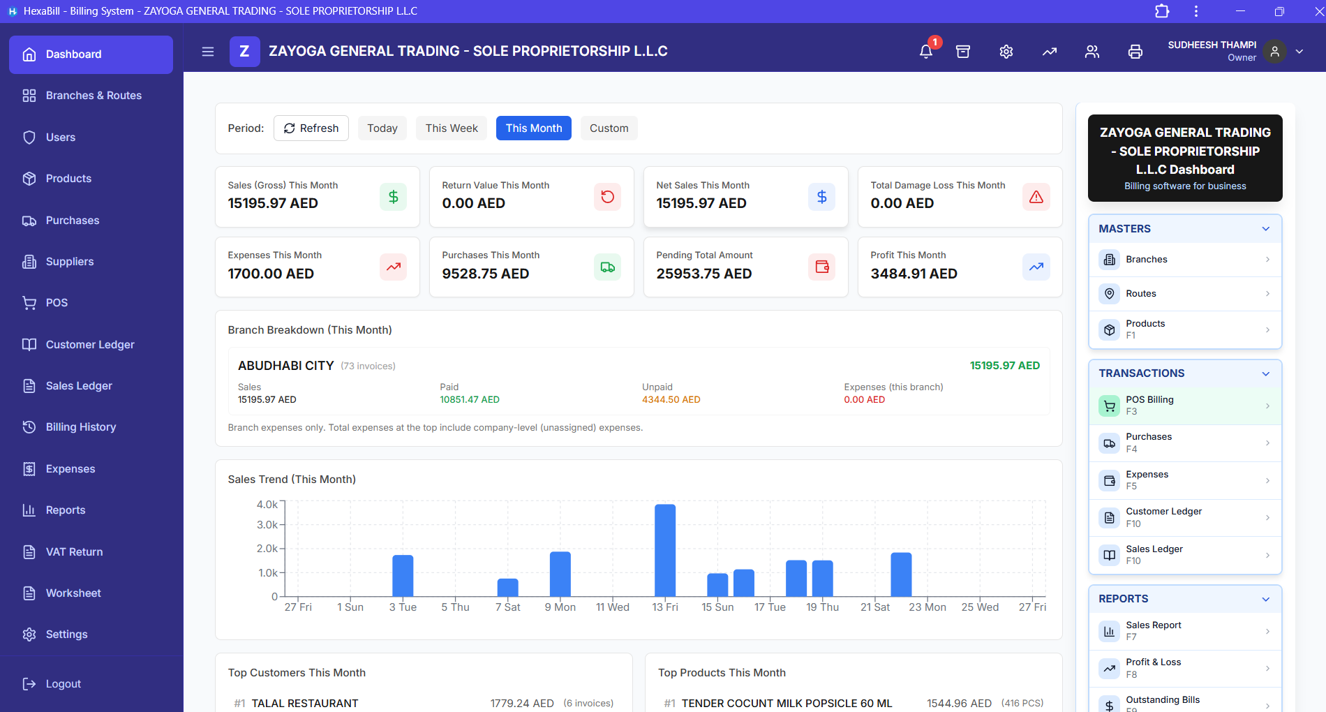 HexaBill POS and billing screens