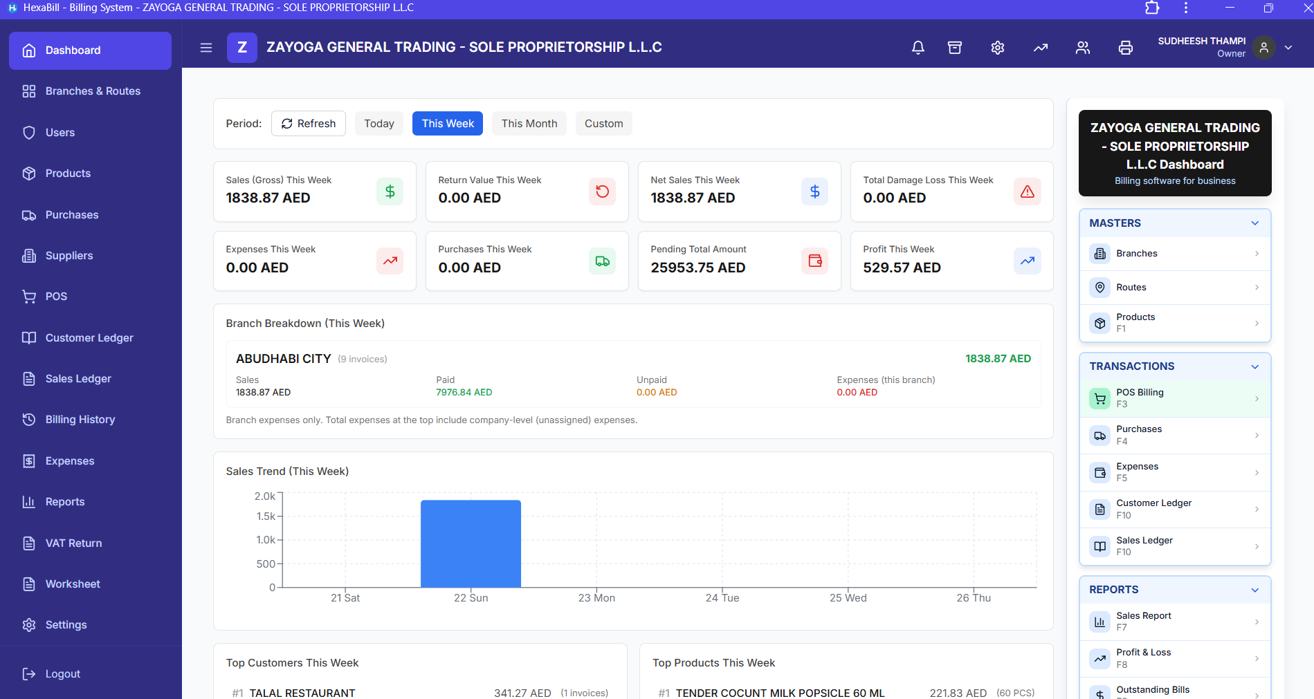 HexaBill analytics dashboard and reports